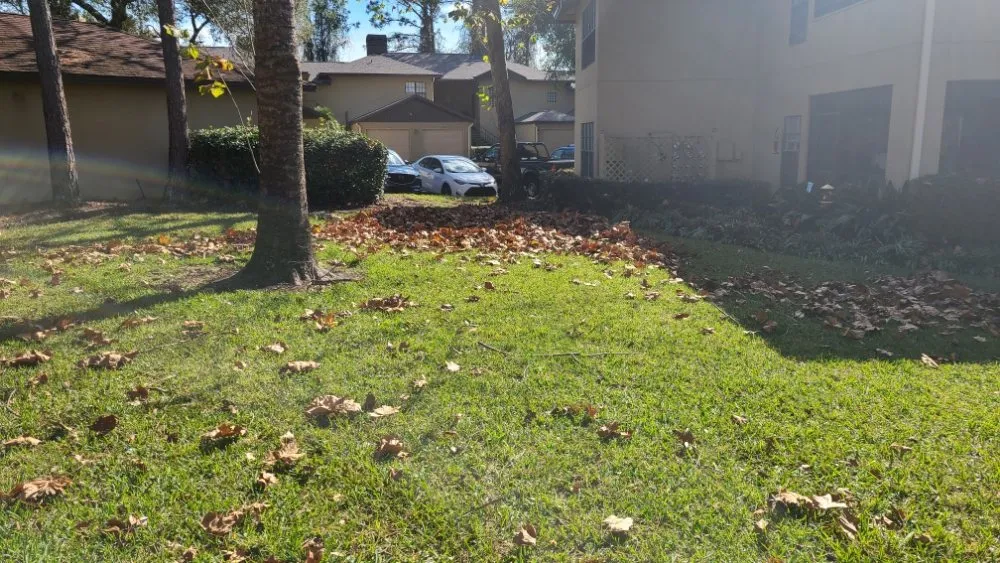 Affordable lawn mowing service for residential properties across Palm Coast, FL - K&N Lawn Maintenance