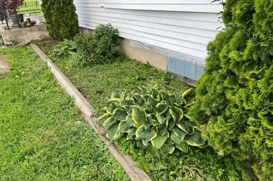 Custom garden landscaping for year-round maintenance in Amboy, IL by K&N Lawn Services