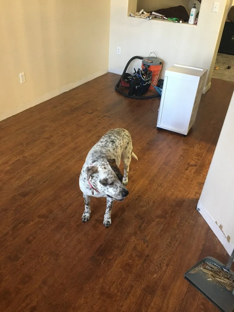 Custom lawn mowing service in Phoenix, AZ - KN-RE Home Services