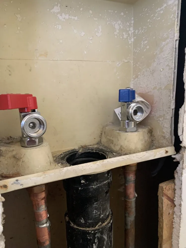 Professional landscape design experts serving Phoenix, AZ - KN-RE Home Services