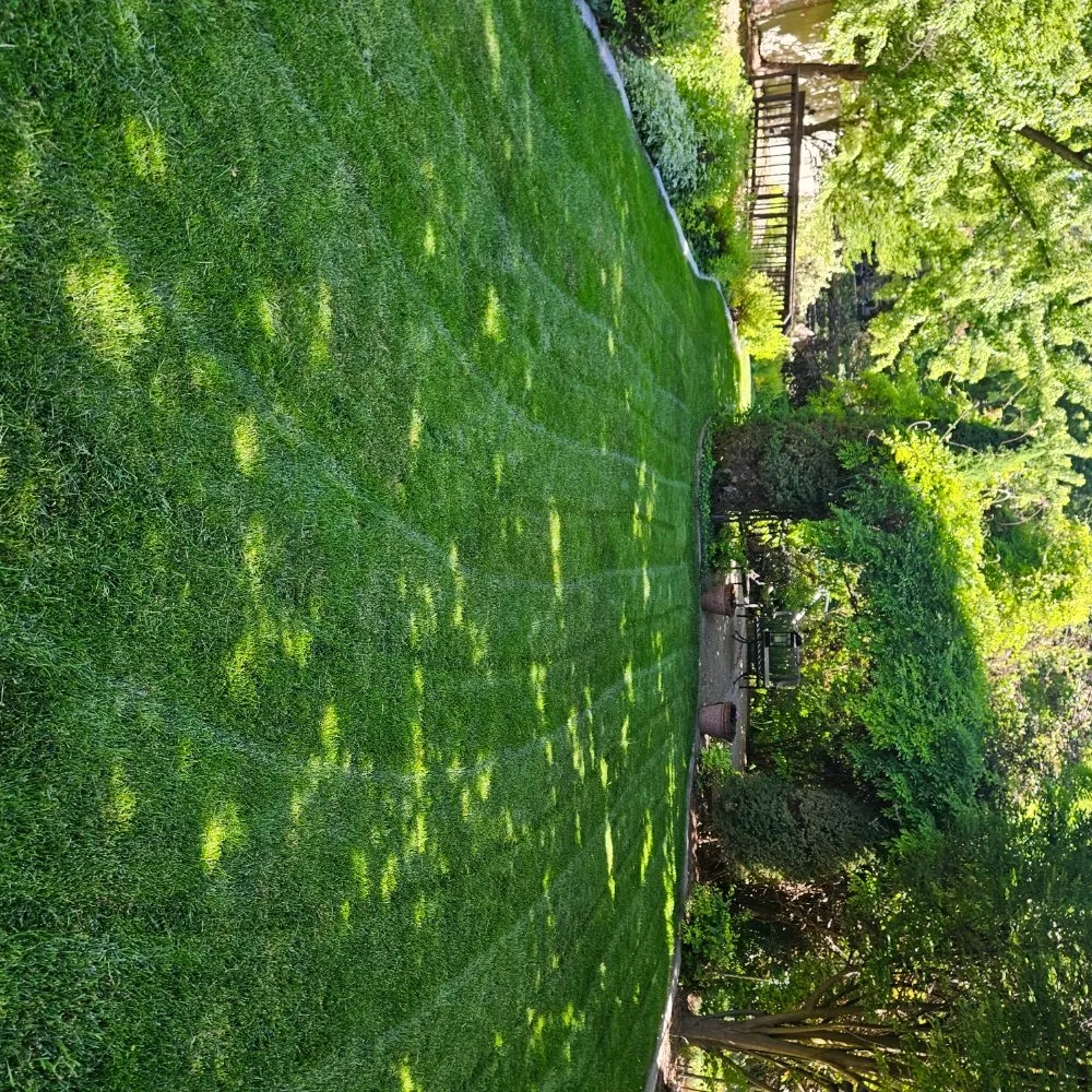 Reliable landscape design for beautiful yards in South Ogden, UT by K&N Services