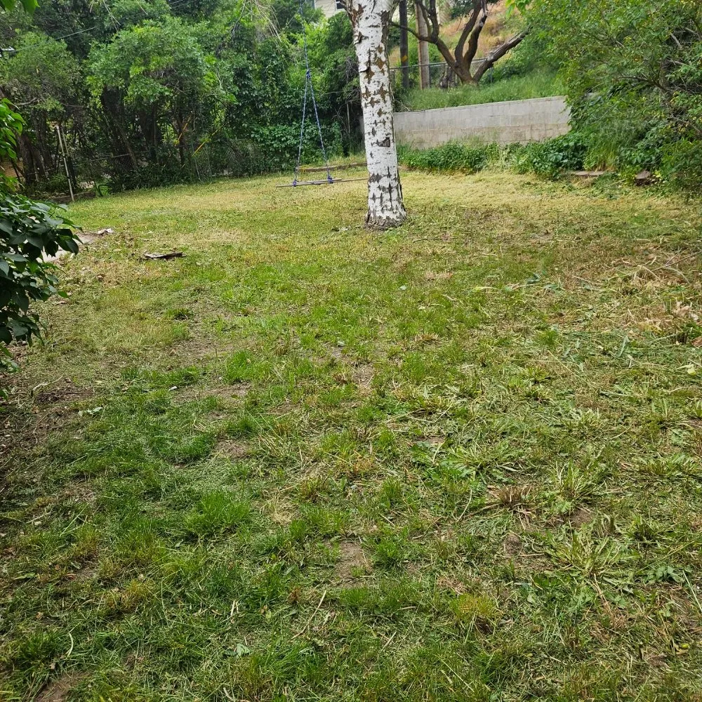 Trusted outdoor landscaping with custom design in South Ogden, UT by K&N Services