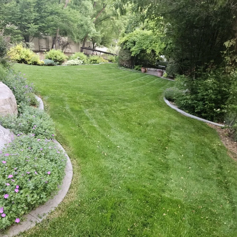 Top-rated landscaping services with custom design in South Ogden, UT by K&N Services