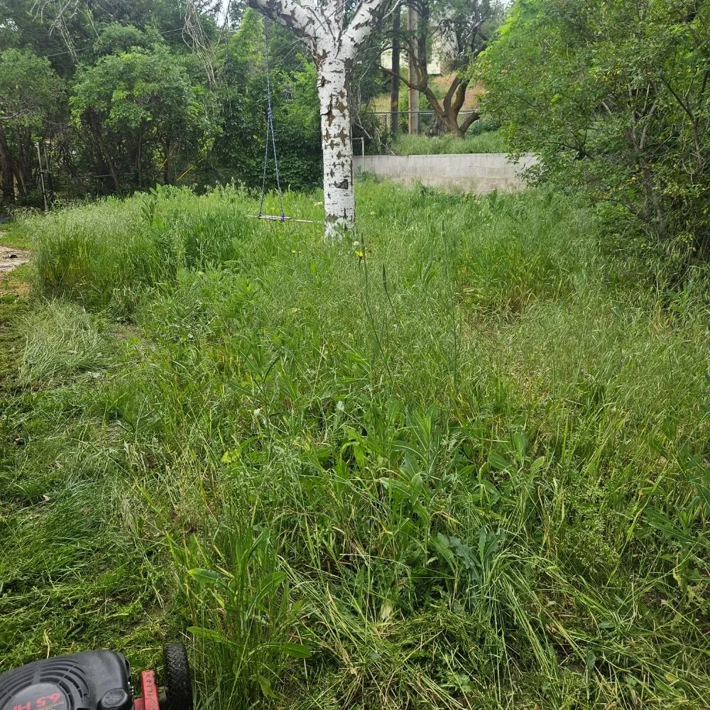 Affordable landscape design experts serving South Ogden, UT - K&N Services