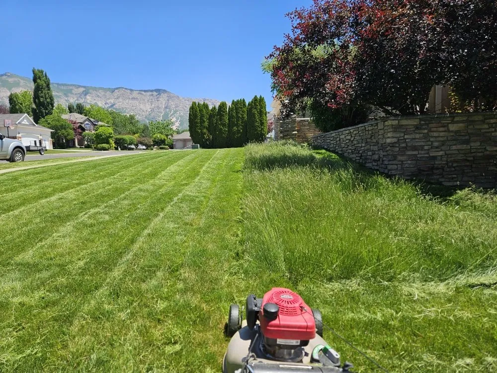 Expert yard maintenance in South Ogden, UT - K&N Services
