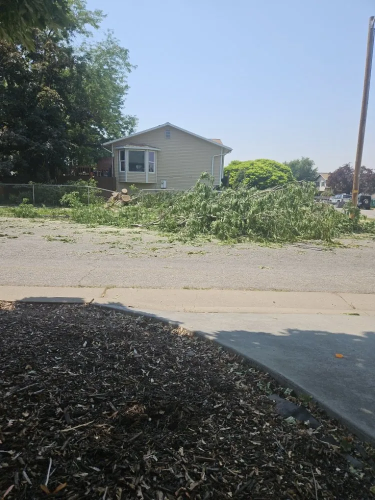 Expert garden landscaping for residential properties in South Ogden, UT by K&N Services