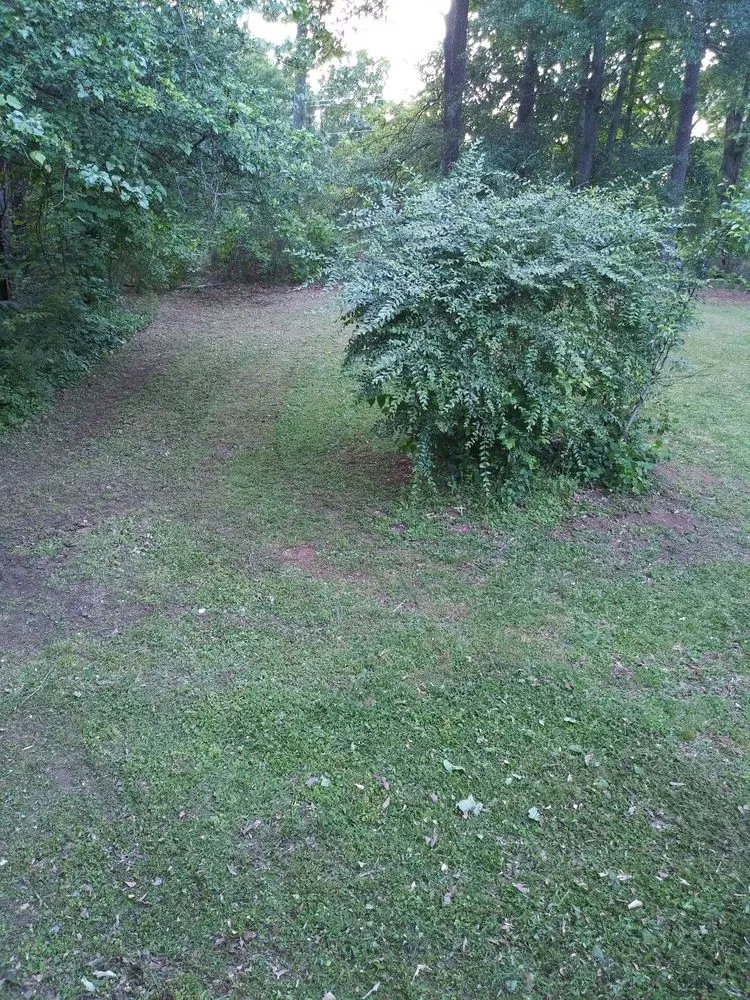 Local lawn mowing service experts serving Mableton, GA - KnA Budget Lawn Service