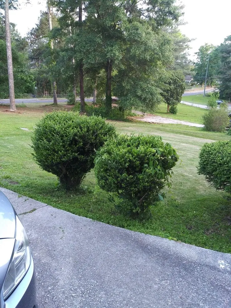 Reliable lawn mowing service in Mableton, GA - KnA Budget Lawn Service