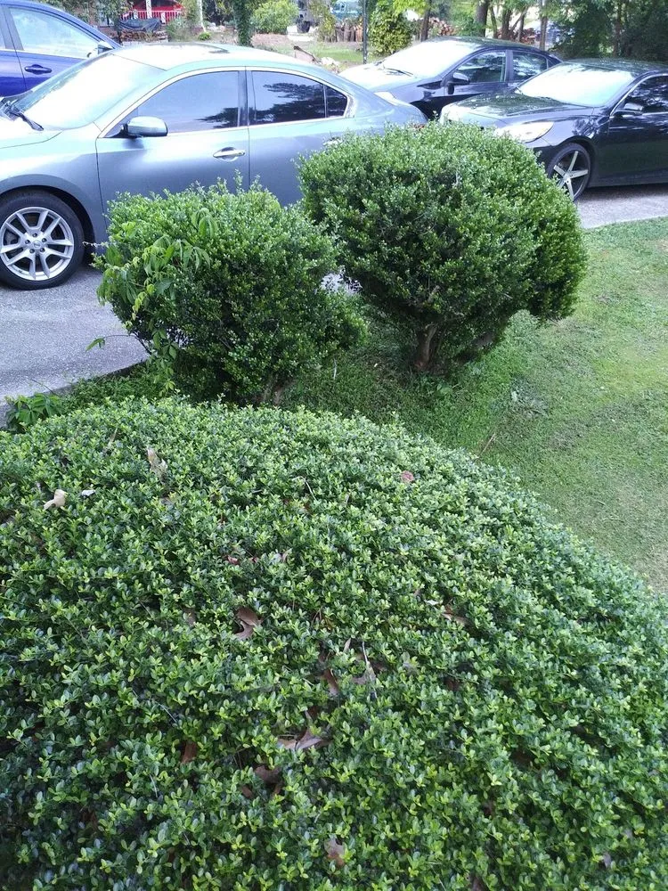 Trusted residential landscaping in Mableton, GA - KnA Budget Lawn Service