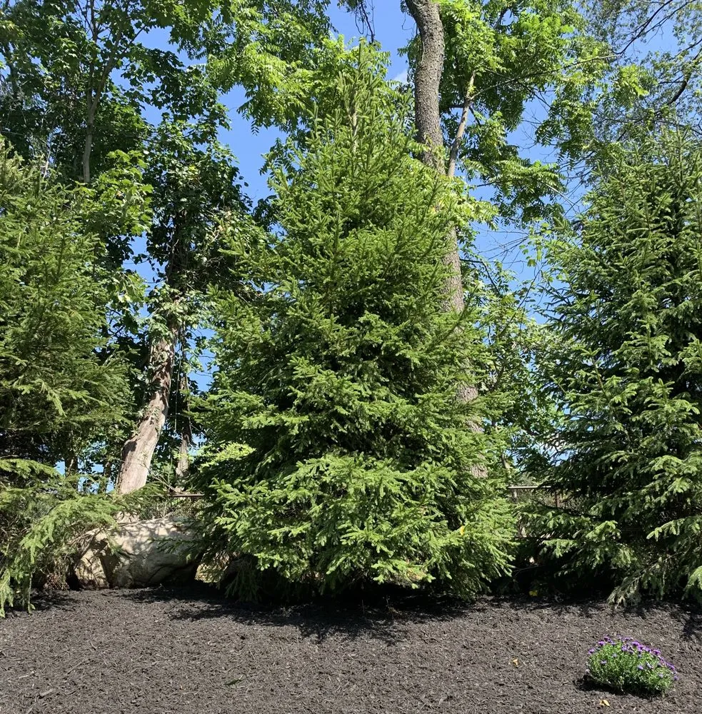 Trusted landscaping services for year-round maintenance across Suffern, NY - Knapp's Landscaping