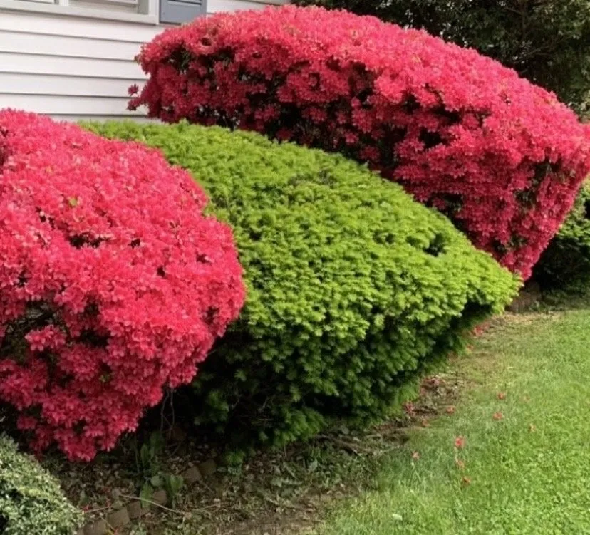 Top-rated landscape installation for homes in Suffern, NY by Knapp's Landscaping