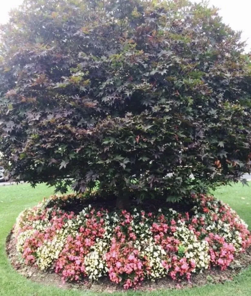 Professional garden landscaping in Suffern, NY - Knapp's Landscaping