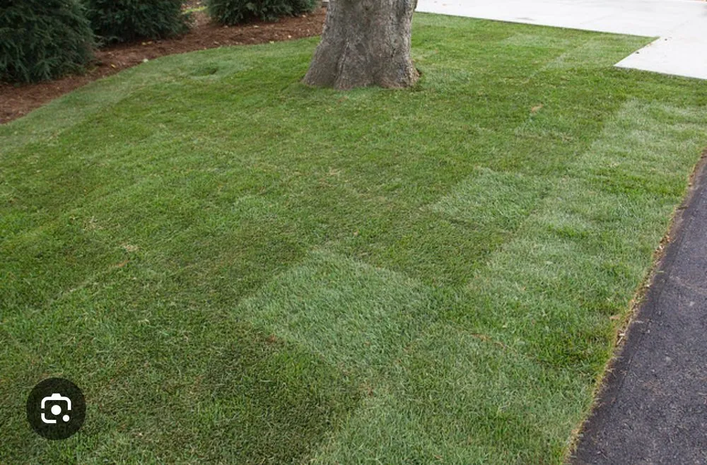 Custom landscaping services with custom design in Suffern, NY by Knapp's Landscaping