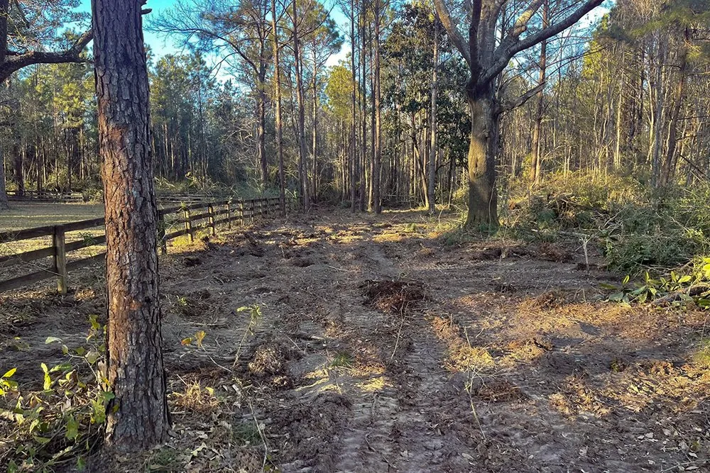 Reliable outdoor landscaping in Ponchatoula, LA by KNB Services