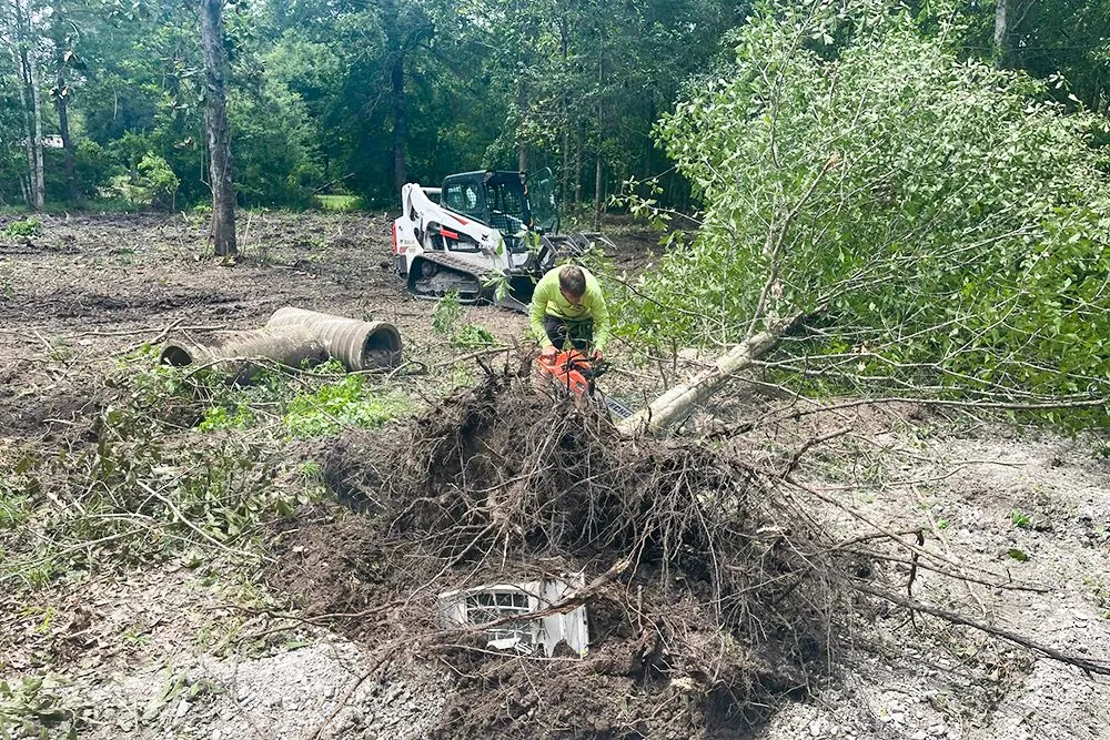 Reliable yard cleanup service experts serving Ponchatoula, LA - KNB Services