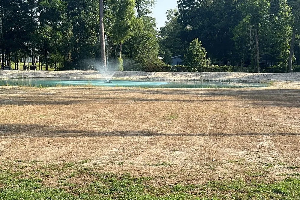 Top-rated yard cleanup service for homes across Ponchatoula, LA - KNB Services