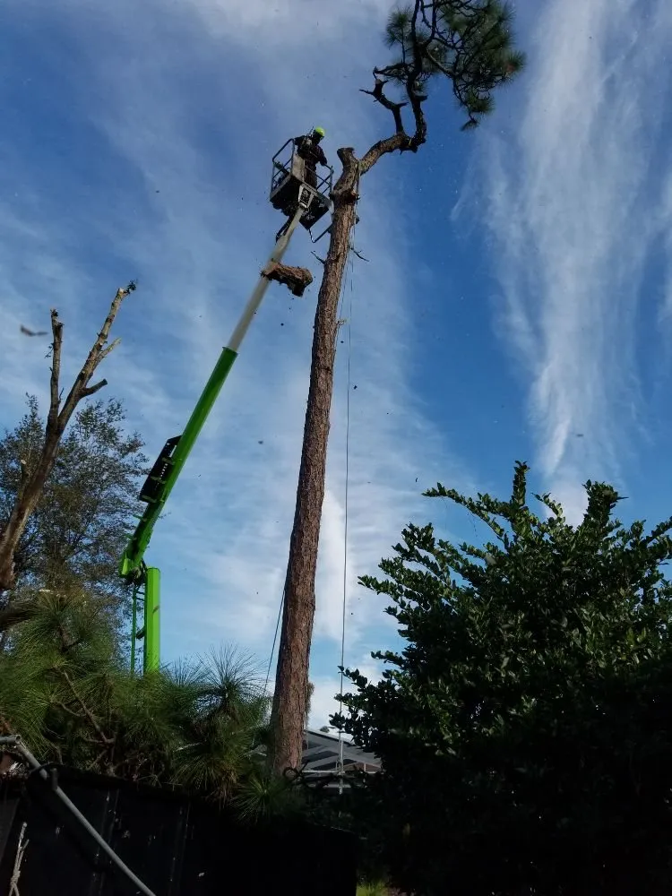 Affordable landscape installation for homes across Astor, FL - KNC Tree Service
