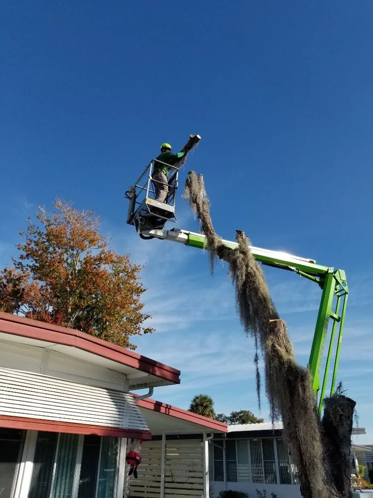 Trusted landscape design in Astor, FL by KNC Tree Service