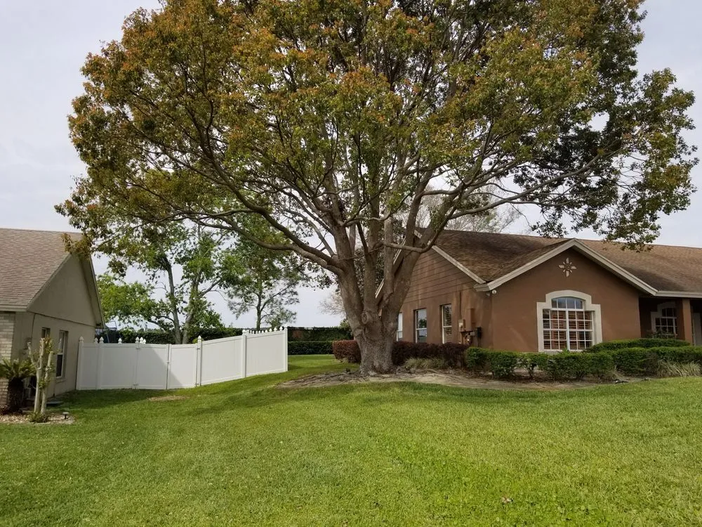 Reliable outdoor landscaping in Astor, FL by KNC Tree Service