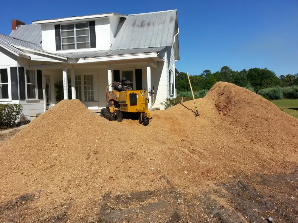 Custom landscape installation for homes in Astor, FL by KNC Tree Service