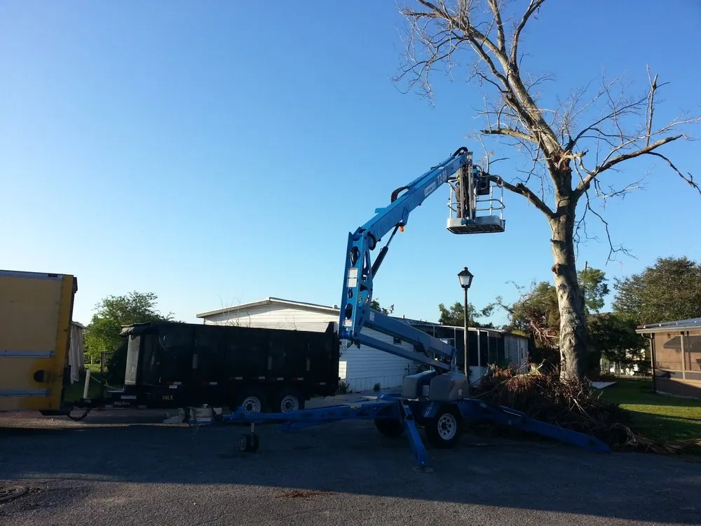Affordable residential landscaping in Astor, FL - KNC Tree Service