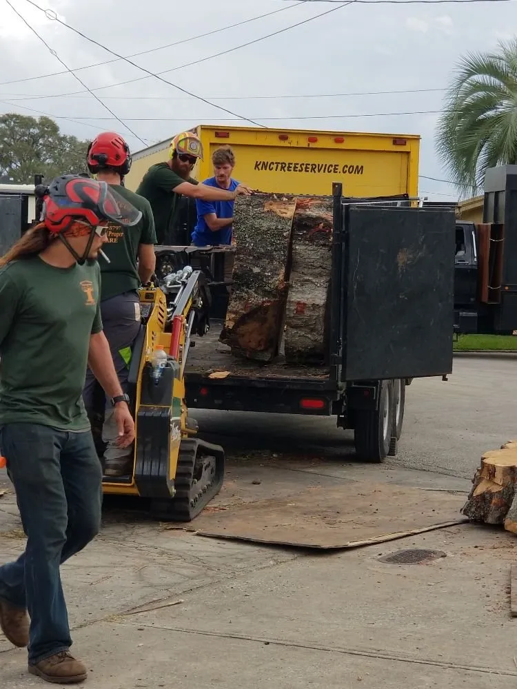 Trusted garden landscaping for homes in Astor, FL by KNC Tree Service