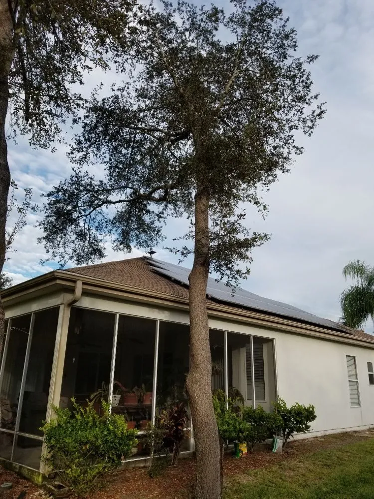 Custom landscape design experts serving Astor, FL - KNC Tree Service