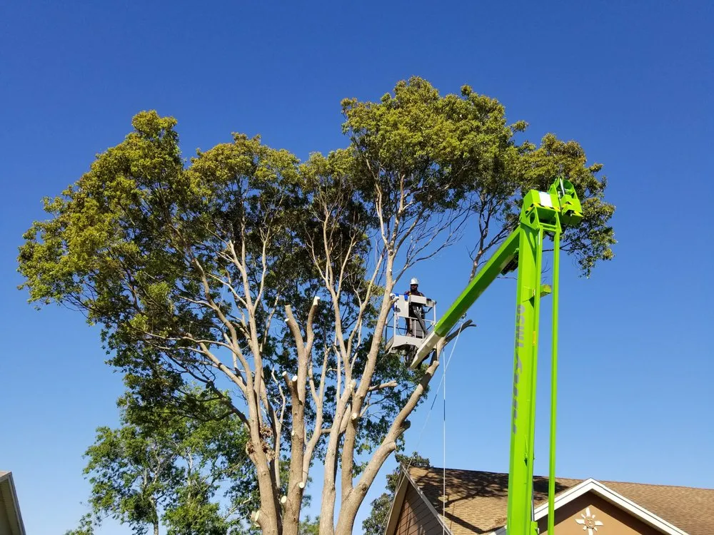 Custom lawn care service in Astor, FL by KNC Tree Service