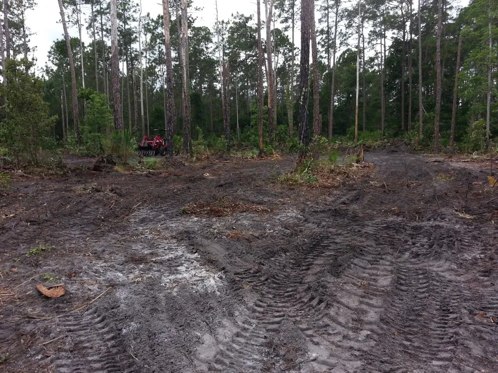 Expert landscape installation with custom design across Astor, FL - KNC Tree Service