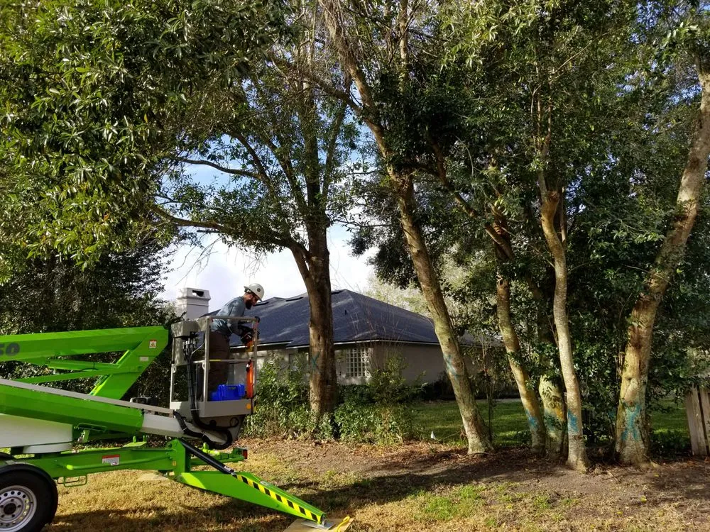 Reliable yard cleanup service in Astor, FL by KNC Tree Service