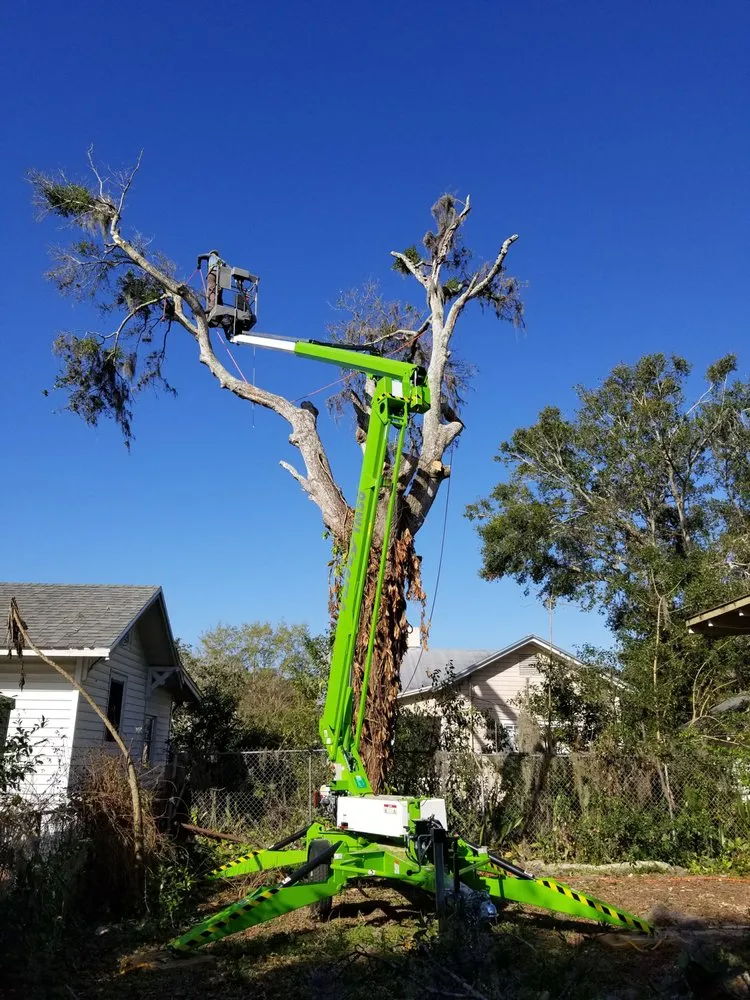 Affordable residential landscaping experts serving Astor, FL - KNC Tree Service