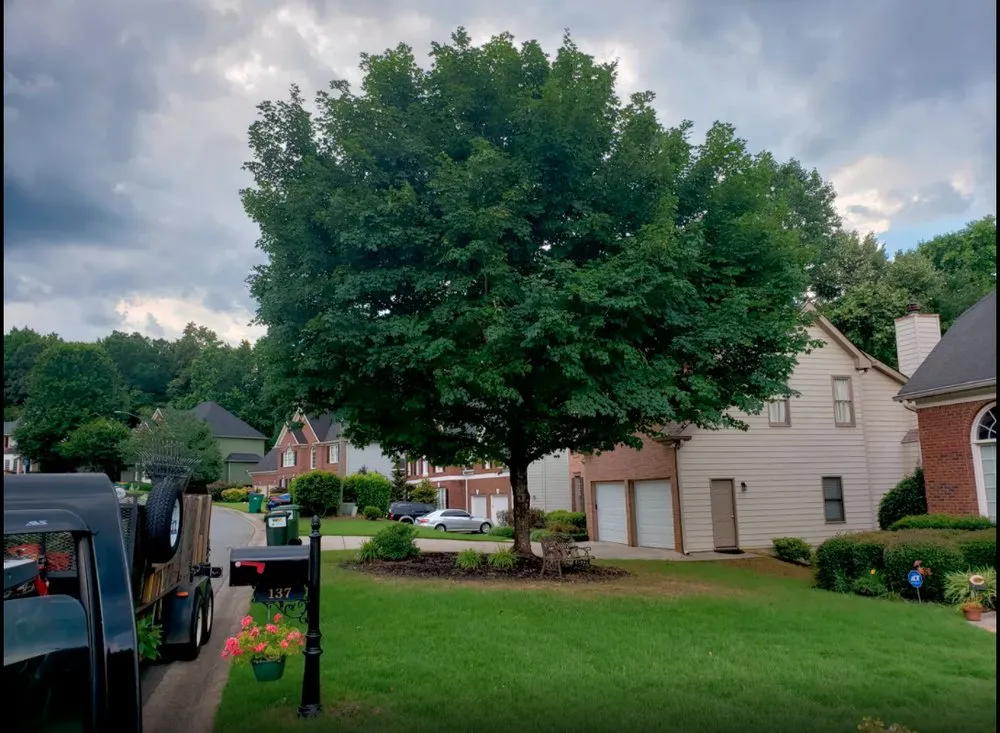 Expert yard maintenance for beautiful yards in Woodstock, GA by KND Tree Service & Landscaping