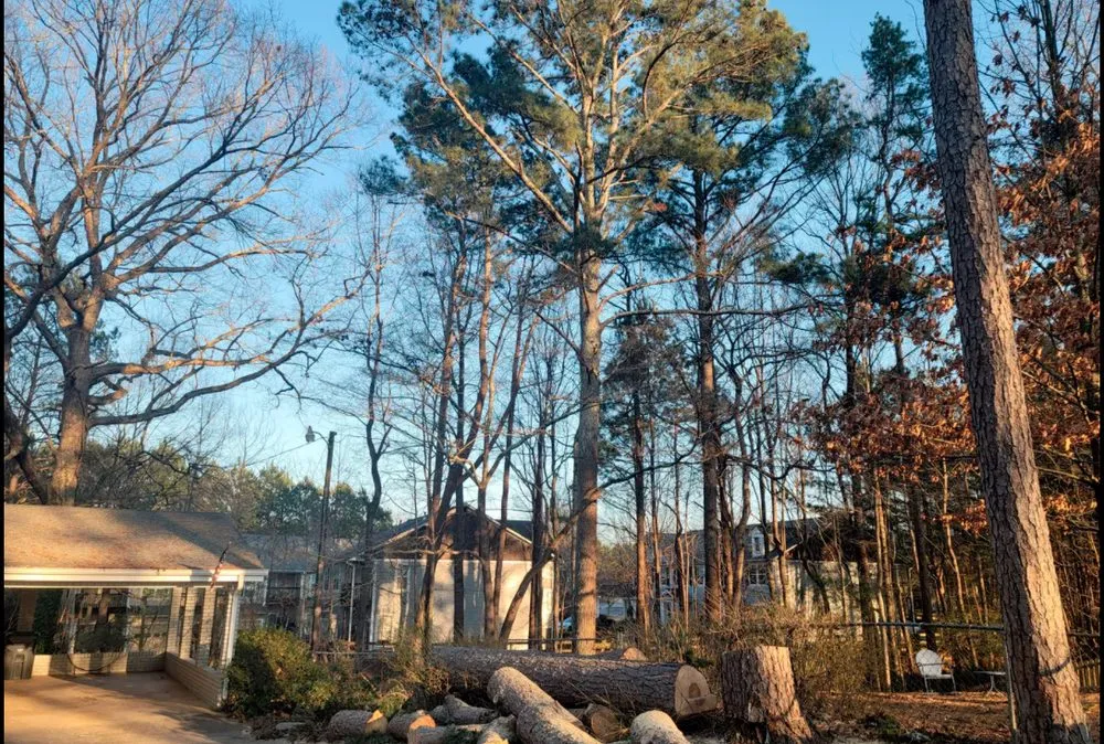 Affordable outdoor landscaping experts serving Woodstock, GA - KND Tree Service & Landscaping