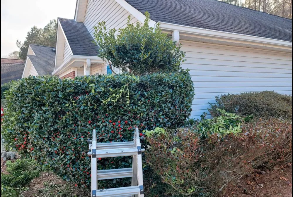 Trusted yard maintenance for beautiful yards across Woodstock, GA - KND Tree Service & Landscaping