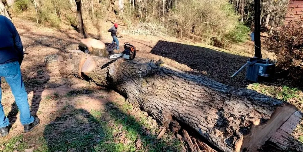 Top-rated landscape design in Woodstock, GA by KND Tree Service & Landscaping