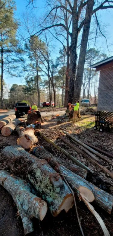 Top-rated yard cleanup service in Woodstock, GA by KND Tree Service & Landscaping