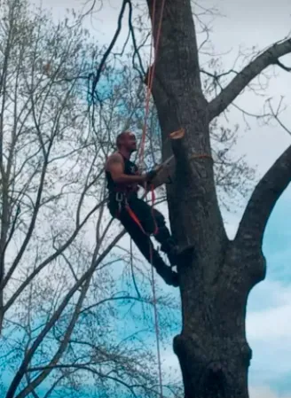 Expert residential landscaping in Woodstock, GA - KND Tree Service & Landscaping