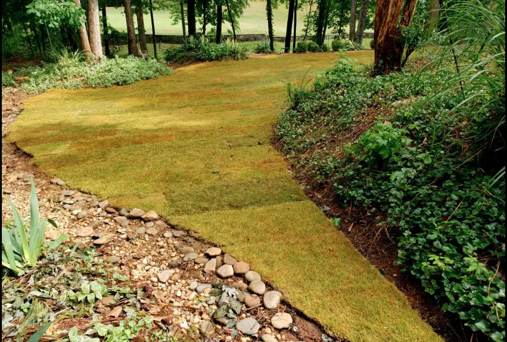 Trusted yard cleanup service experts serving Woodstock, GA - KND Tree Service & Landscaping