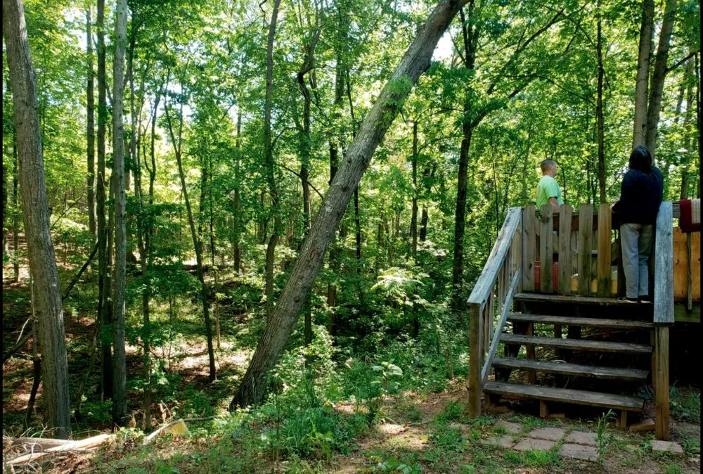 Affordable yard cleanup service near you in Woodstock, GA by KND Tree Service & Landscaping