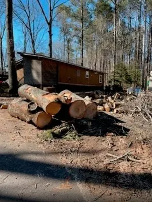 KND Tree Service & Landscaping Logo