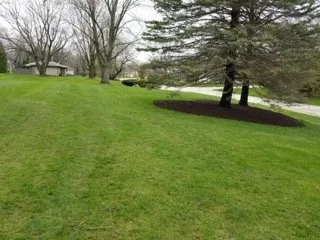 Expert yard cleanup service for homes across Waukesha, WI - KNE Customs