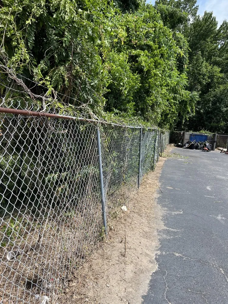 Local lawn care service in West Columbia, SC - Kneale’s Lawncare