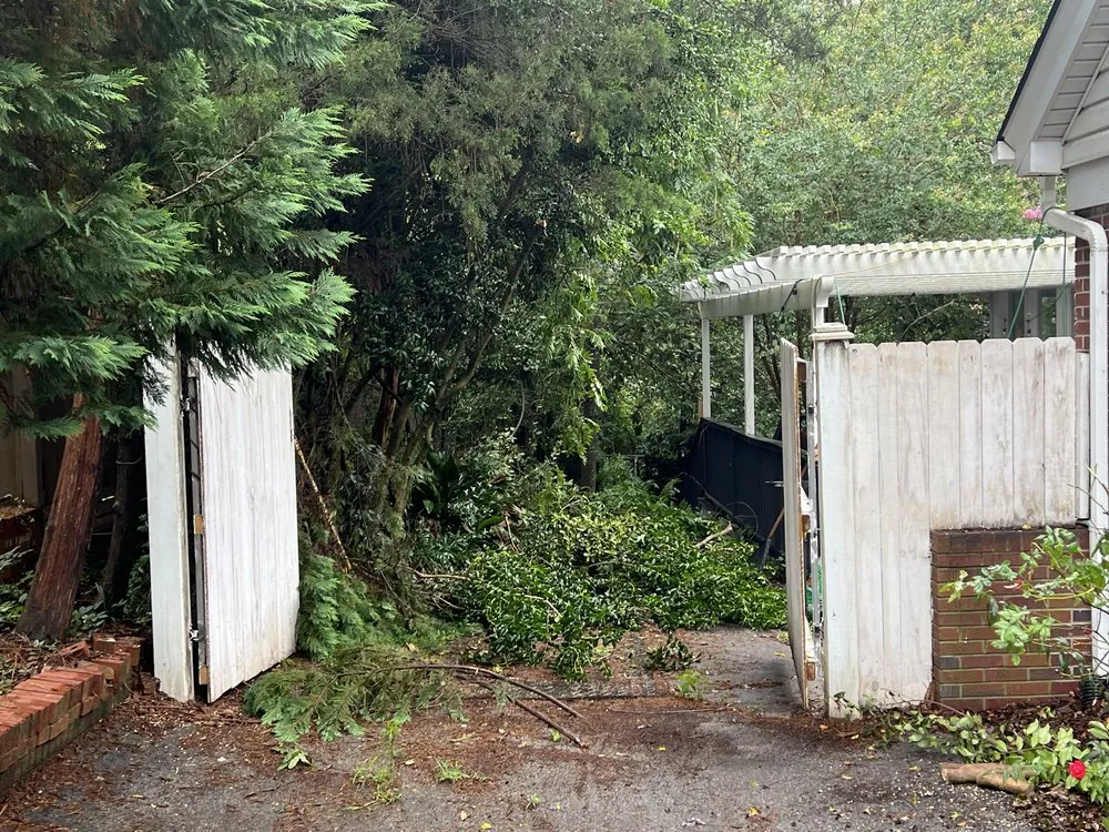 Reliable outdoor landscaping for residential properties in West Columbia, SC by Kneale’s Lawncare