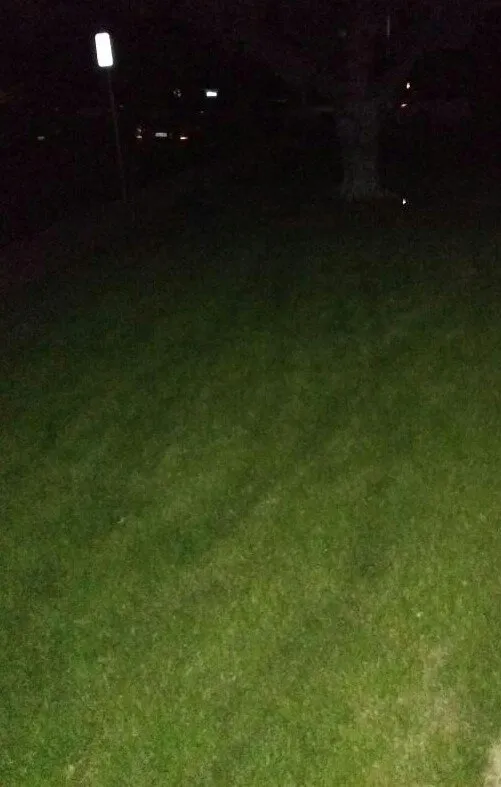 Top-rated lawn care service in Concord, CA - Knecht One Lawn Specialists