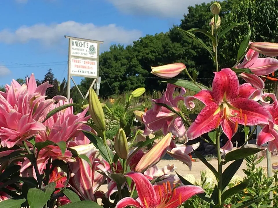 Expert landscaping services with custom design across Northfield, MN - Knecht's Nurseries & Landscaping