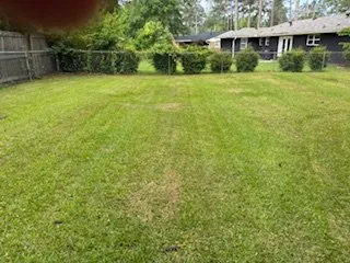 Expert outdoor landscaping near you in Graniteville, SC by Kneece Outdoor Services