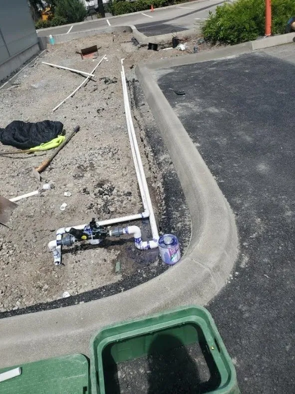 Top-rated residential landscaping for year-round maintenance across Olympia, WA - Kneeland Landscaping