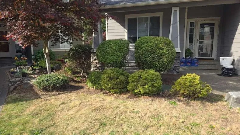 Local landscaping services in Olympia, WA - Kneeland Landscaping