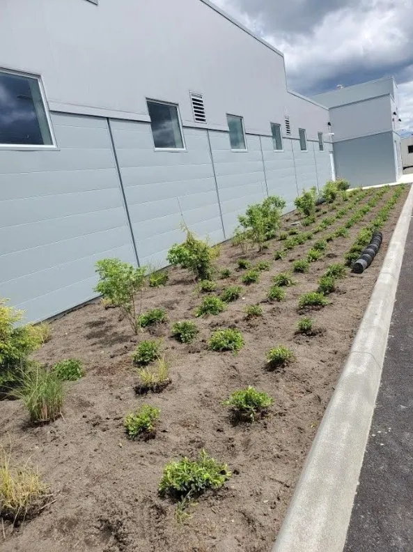 Professional residential landscaping for year-round maintenance across Olympia, WA - Kneeland Landscaping