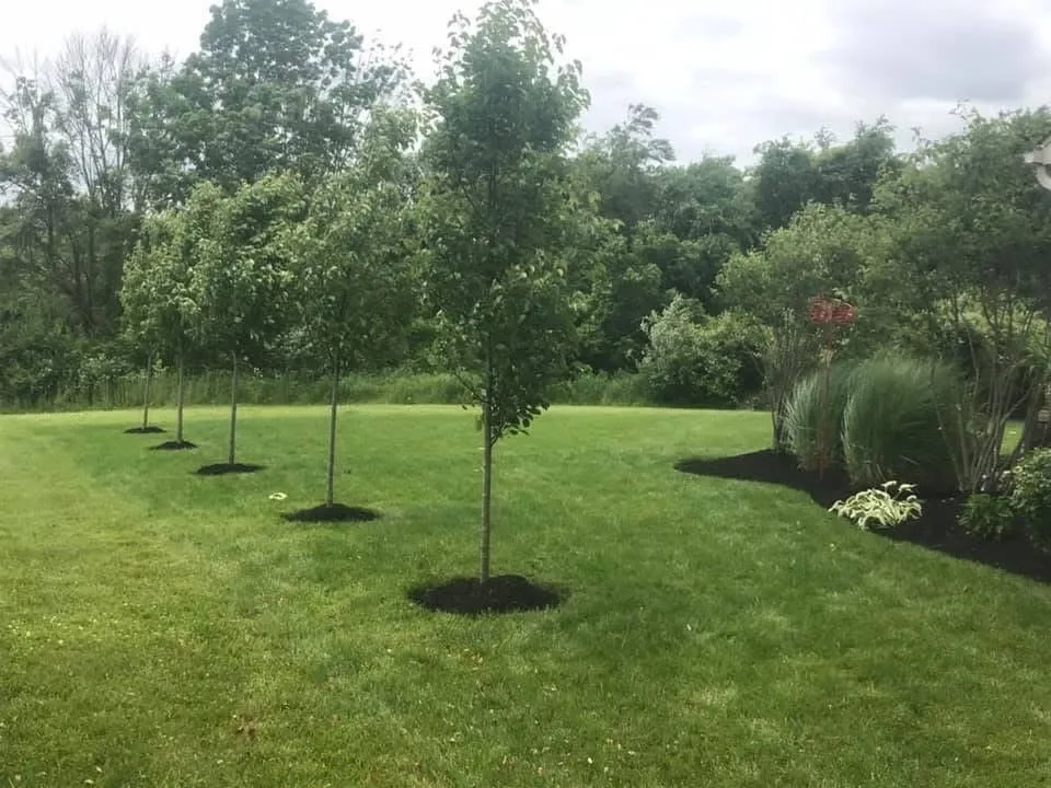 Reliable lawn mowing service in Johnstown, OH by Kneisleyscape